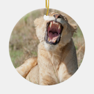Growling Lioness Ceramic Tree Decoration