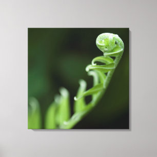 Growth Canvas Print
