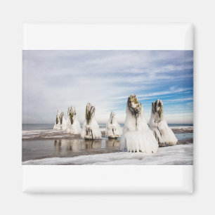 Groynes on the Baltic Sea coast Magnet