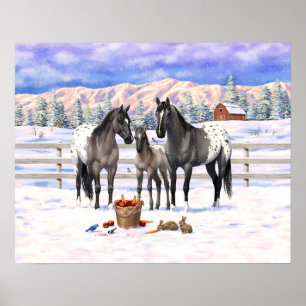 Grulla Gray Appaloosa Horses On A Farm In Snow Poster