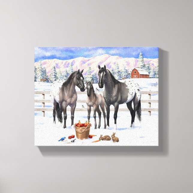 Grulla Grey Appaloosa Horses On A Farm In Snow Canvas Print (Front)