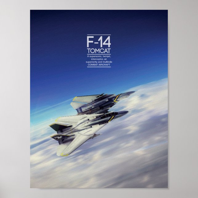 Grumman F-14 Tomcat poster (Front)