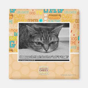 Grumpage Alert Magnet