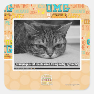 Grumpage Alert Square Sticker