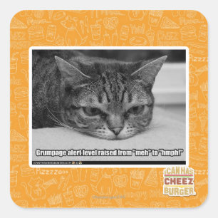 Grumpage Alert Square Sticker