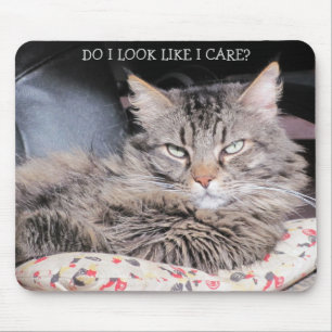 Grumpy Angel don't care Mouse Pad