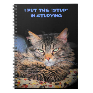 Grumpy Angel puts the Stud in Studying Spiral Notebook