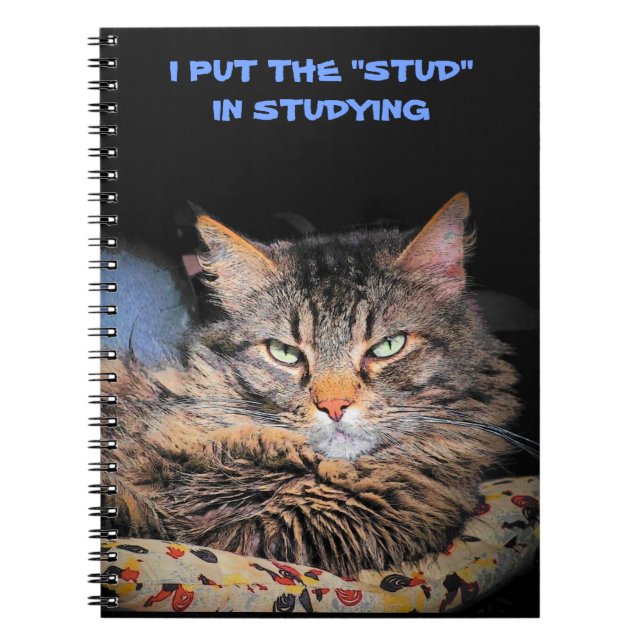 Grumpy Angel puts the Stud in Studying Spiral Notebook (Front)