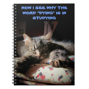 Grumpy Angel: Studying is killin' me Spiral Notebook