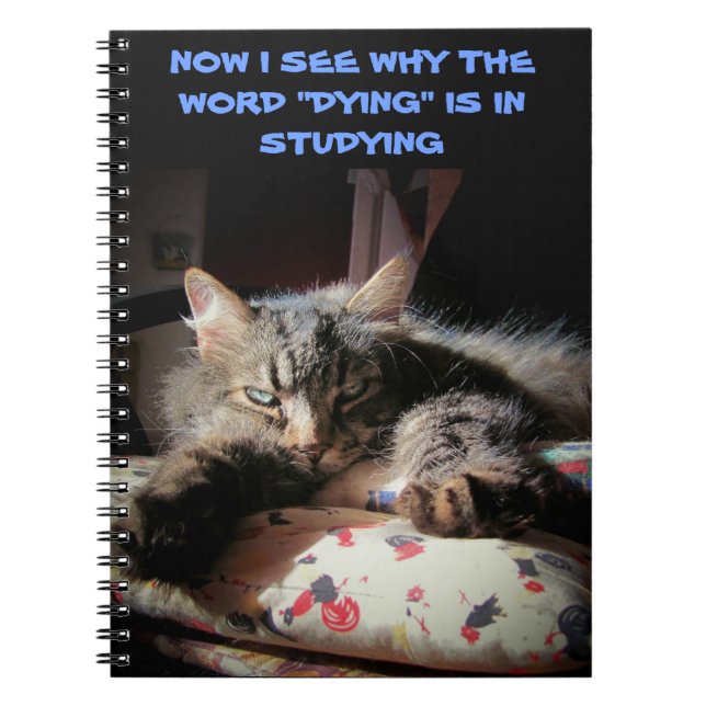 Grumpy Angel: Studying is killin' me Spiral Notebook (Front)