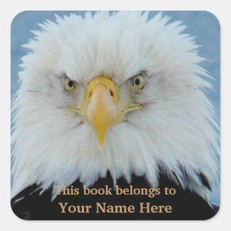 Grumpy Bald Eagle Square Sticker