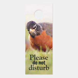 Grumpy Bird Do Not Disturb Door Hanger