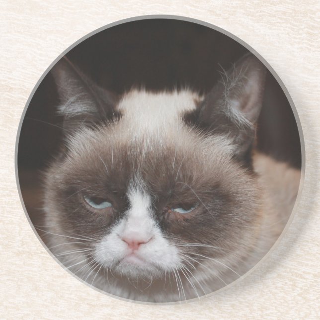 Grumpy Cat Costers v3 Coaster (Front)