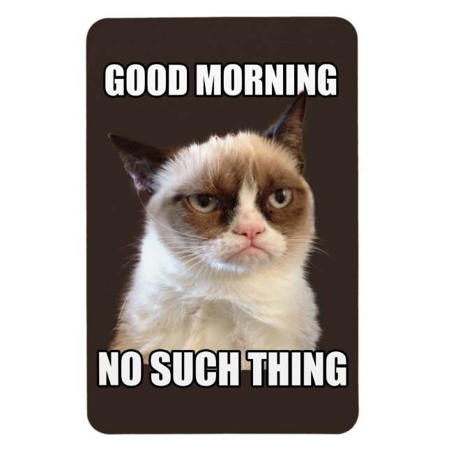 Grumpy Cat Flexible Magnet (Vertical)