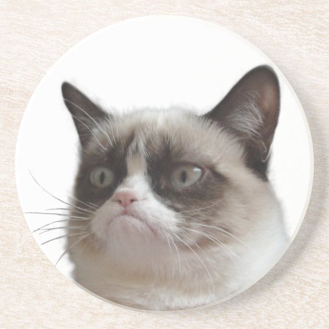 Grumpy Cat Glaring Coasters (Front)