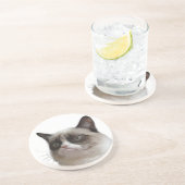 Grumpy Cat Glaring Coasters (Side)