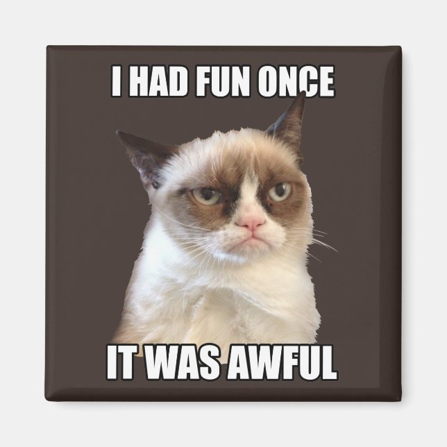 Grumpy Cat - I had fun once Magnet (Front)