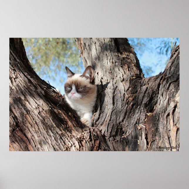 Grumpy Cat™ In a Tree Poster (Front)