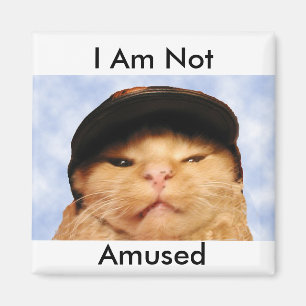 Grumpy Cat Magnet