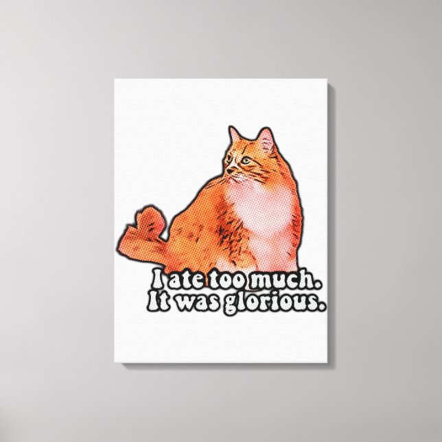 Grumpy cat meme for cat persons and kitten lovers canvas print (Front)