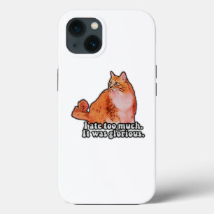 Grumpy cat meme for cat persons and kitten lovers iPhone 13 case