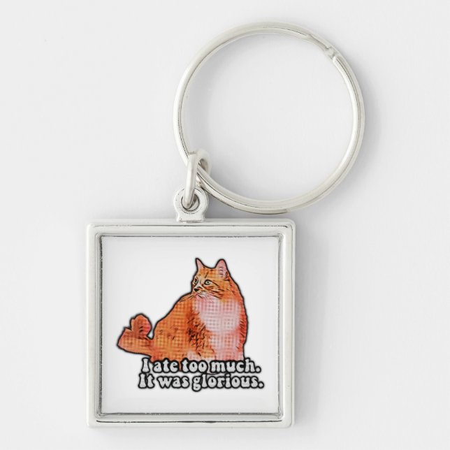 Grumpy cat meme for cat persons and kitten lovers key ring (Front)