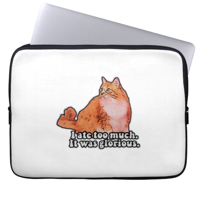 Grumpy cat meme for cat persons and kitten lovers laptop sleeve (Front)