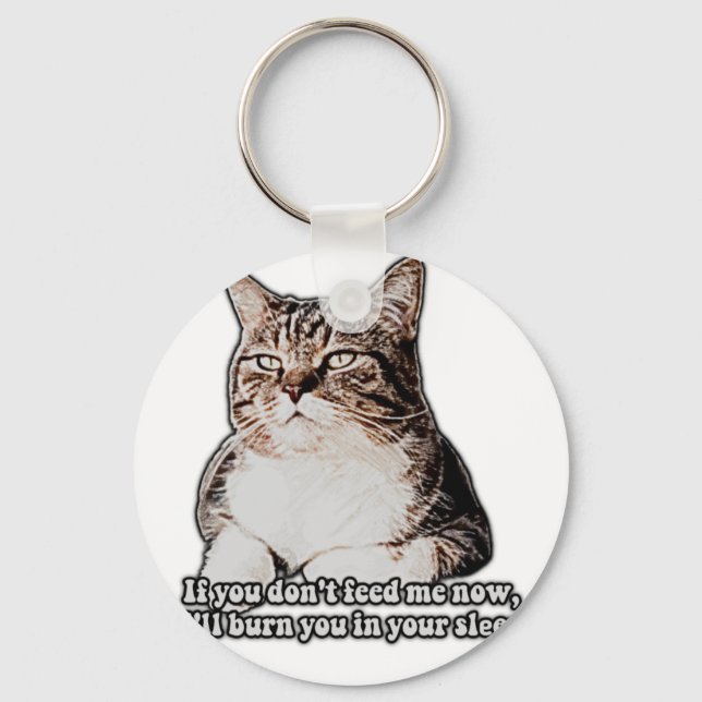 Grumpy cat meme for cat persons and kitten owners key ring (Front)