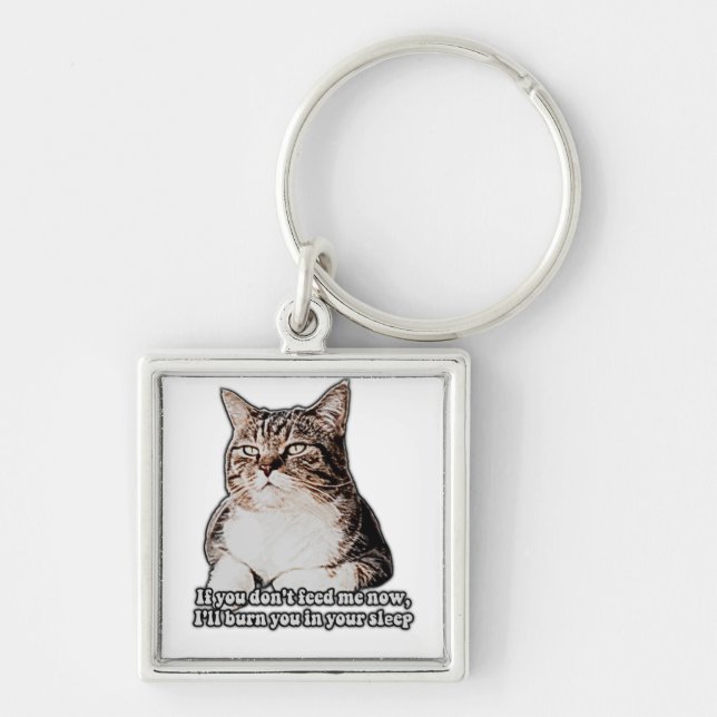 Grumpy cat meme for cat persons and kitten owners key ring (Front)