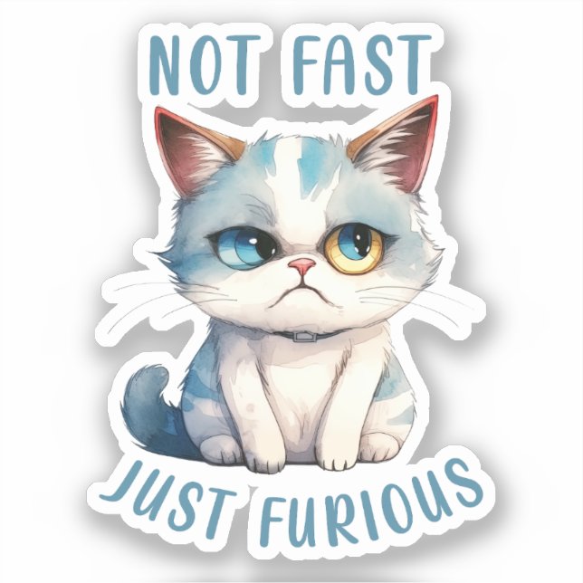 Grumpy Cat - Not Fast, Just Furious (Front)