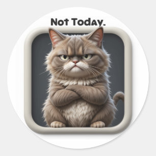 Grumpy Cat "Not Today" Craft Sticker – Funny Mood