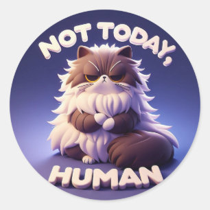 Grumpy Cat “Not Today, Human” Craft Sticker