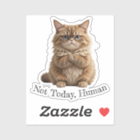 Grumpy Cat "Not Today, Human" Funny Pet Meme