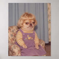 Grumpy Chihuahua's Retro Picture Day Portrait