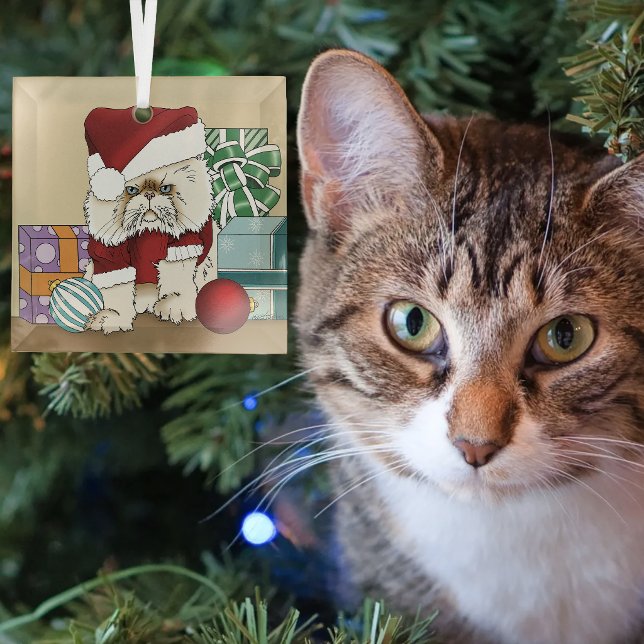 Grumpy Christmas Cat Santa Funny Holiday Glass Tree Decoration (Creator Uploaded)