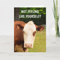 Grumpy Cow Cancer Support