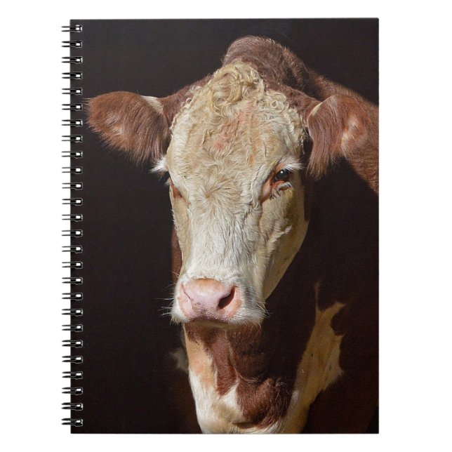 Grumpy Cow Spiral Notebook (Front)