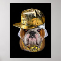 Grumpy English Bulldog wearing Hip Hop Rapper