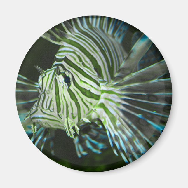 Grumpy Fish Magnet (Front)