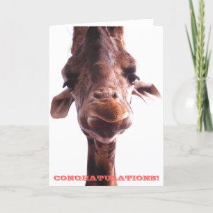 Grumpy Giraffe: Congratulations Card