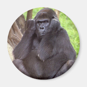 Grumpy Gorilla Magnet