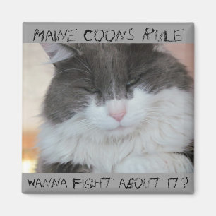 Grumpy Maine Coon Cat Magnet