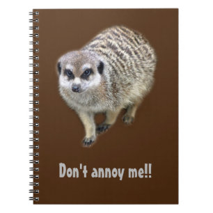 Grumpy meerkat  notebook
