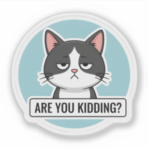Grumpy Meme Cat – “Are You Kidding?” Funny Cat