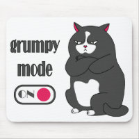 Grumpy mode on funny fat cat