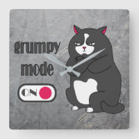 Grumpy mode on funny fat cat