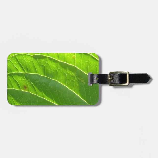 Grünes Blatt, hübsche Blattrippen Luggage Tag (Front Horizontal)