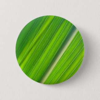 Grünes Maisblattdesign 6 Cm Round Badge