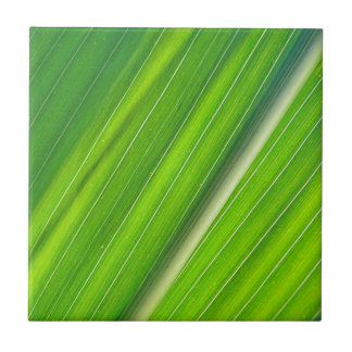 Grünes Maisblattdesign Tile