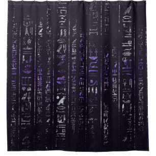Grunge Amethyst and Silver Egyptian hieroglyphics Shower Curtain